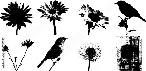 Black ink silhouette set featuring nature-inspired polaroid backgrounds