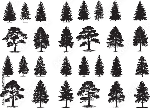 Trees silhouettes. Forest and park pines firs and spruces, coniferous and deciduous trees. Vector isolated retro images nature set