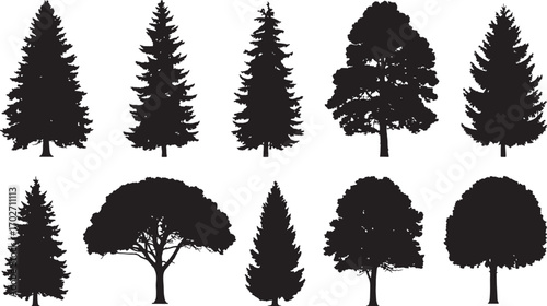 Trees silhouettes. Forest and park pines firs and spruces, coniferous and deciduous trees. Vector isolated retro images nature set