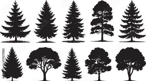 Trees silhouettes. Forest and park pines firs and spruces, coniferous and deciduous trees. Vector isolated retro images nature set