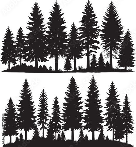 Vector art of a silhouette of a dense forest of pine and evergreen trees isolated on a transparent background