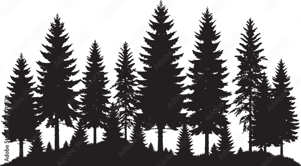 Obraz premium Vector art of a silhouette of a dense forest of pine and evergreen trees isolated on a transparent background