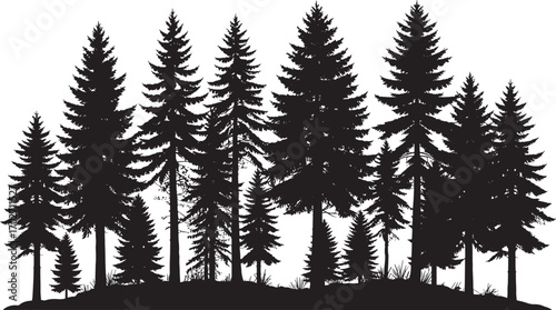 Vector art of a silhouette of a dense forest of pine and evergreen trees isolated on a transparent background