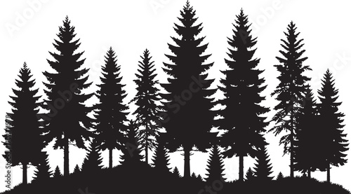 Vector art of a silhouette of a dense forest of pine and evergreen trees isolated on a transparent background