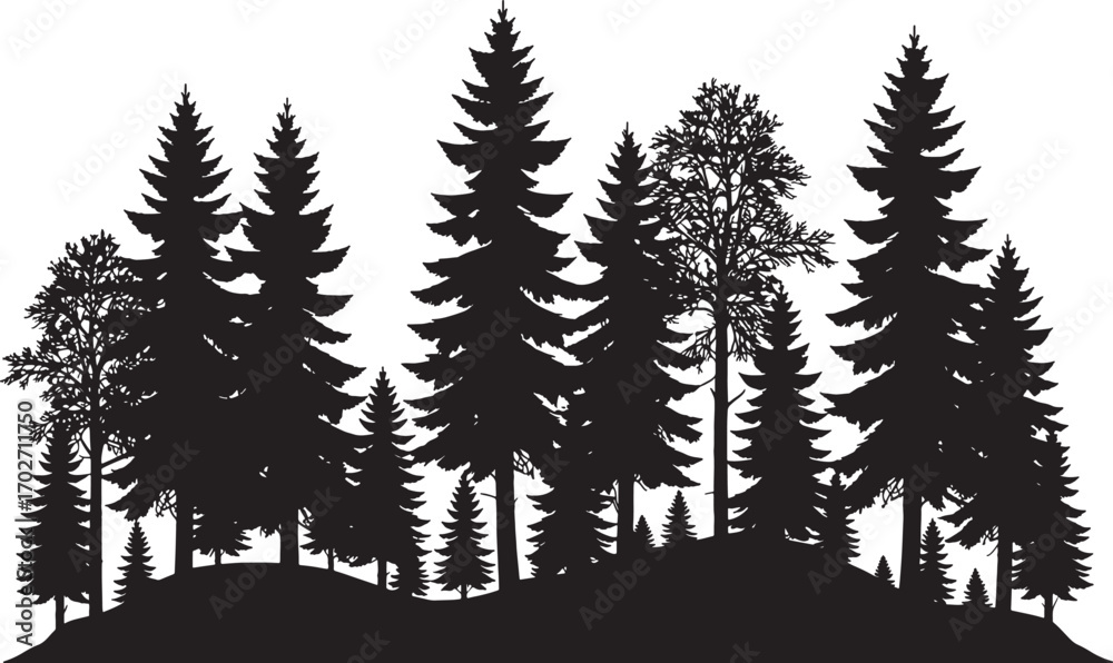 Obraz premium Dense Pine Forest Silhouette Vector with Trees, Branches, and Nature Background