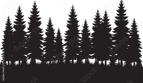 Dense Pine Forest Silhouette Vector with Trees, Branches, and Nature Background