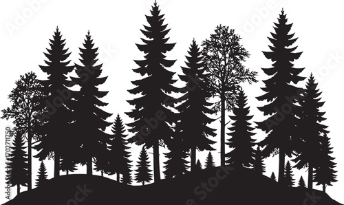 Dense Pine Forest Silhouette Vector with Trees, Branches, and Nature Background