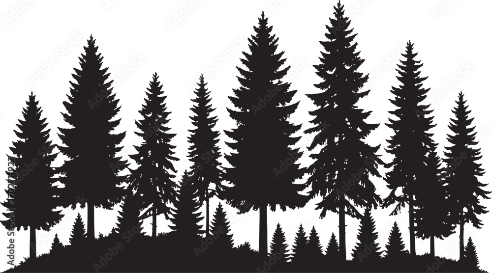 Fototapeta premium Dense Pine Forest Silhouette Vector with Trees, Branches, and Nature Background
