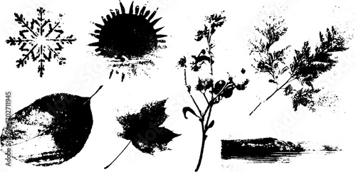 Black ink silhouette set featuring seasons with snowflake, sun, leaves, and botanical elements