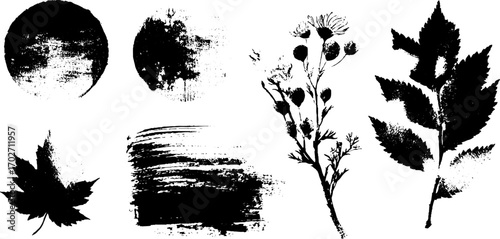 Black ink silhouette set of seasonal elements: sun, leaves, and floral designs for summer art