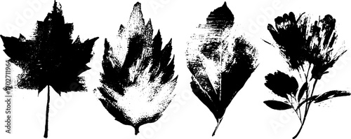 Black ink silhouette set of seasonal leaves for summer and botanical art