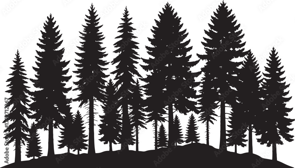 Obraz premium Vector art of a dense silhouette of various pine trees isolated on a transparent background