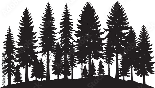 Vector art of a dense silhouette of various pine trees isolated on a transparent background