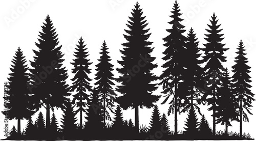 Vector art of a dense silhouette of various pine trees isolated on a transparent background