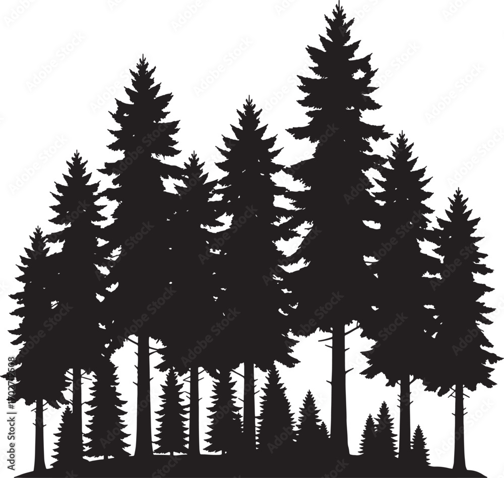 Fototapeta premium Vector art of a dense silhouette of various pine trees isolated on a transparent background