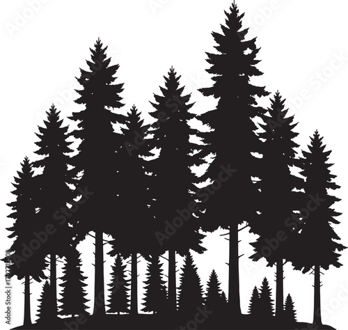 Vector art of a dense silhouette of various pine trees isolated on a transparent background