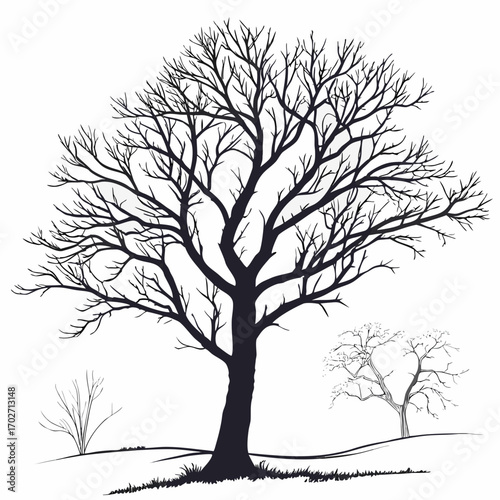 A stark silhouette of a large deciduous tree with intricate branches stands in a minimalist landscape accompanied by smaller bare trees and grassy mounds against a white background