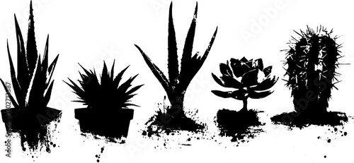 Bold black ink silhouette set of succulents featuring aloe and agave for artistic design