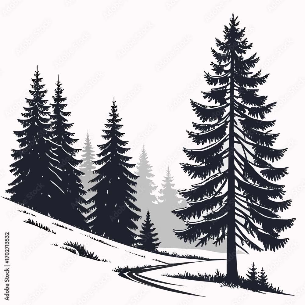 Obraz premium Silhouette of a winding dirt road through a snowy evergreen forest with layered pine trees and distant mountains under a pale sky