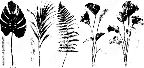 Tropical leaf silhouettes in black ink for creative urban design
