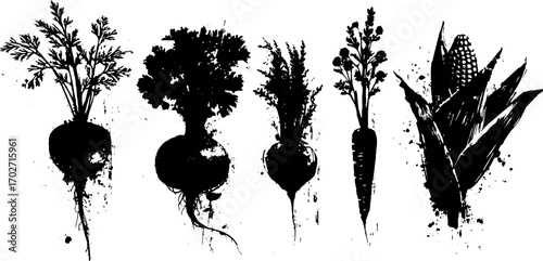 Black ink silhouette of vegetables and insects for creative design