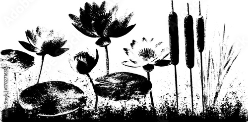 Black ink silhouette of water plants and lotus for nature design and decor