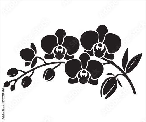 Orchid flower silhouette with leaves isolated on white, elegant botanical vector