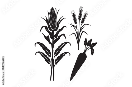 Black and white silhouettes of corn wheat and carrot plants