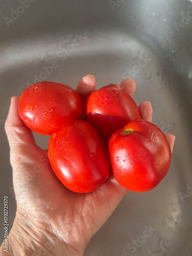 wet tomatoes in a hand