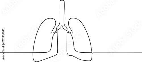 Human lungs organ one continuous line art, Vector illustration, One line art, Line art graphic style
