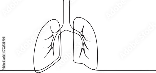 Human lungs organ one continuous line art, Vector illustration, One line art, Line art graphic style