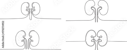 Set of human organ kidney one continuous line art, Vector illustration, One line art, Line art graphic style