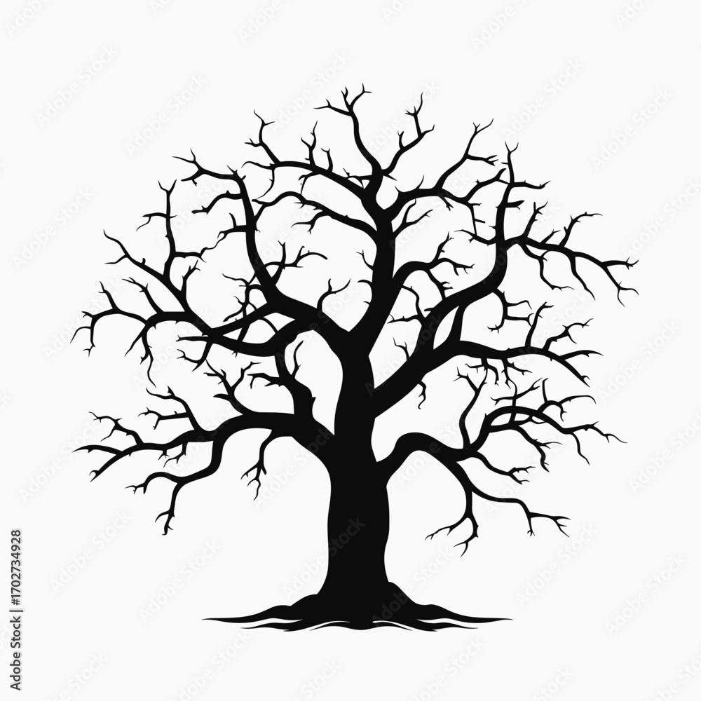 Obraz premium Silhouette of a large deciduous tree with bare branches reaching outwards silhouette
