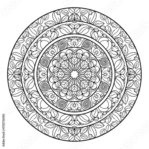 Intricate floral mandala pattern in a circular design for coloring book page