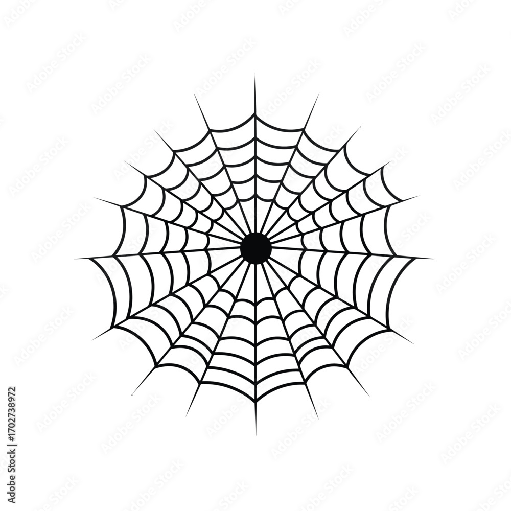 Fototapeta premium Intricate spider web design symbolic of halloween and autumn seasons silhouette