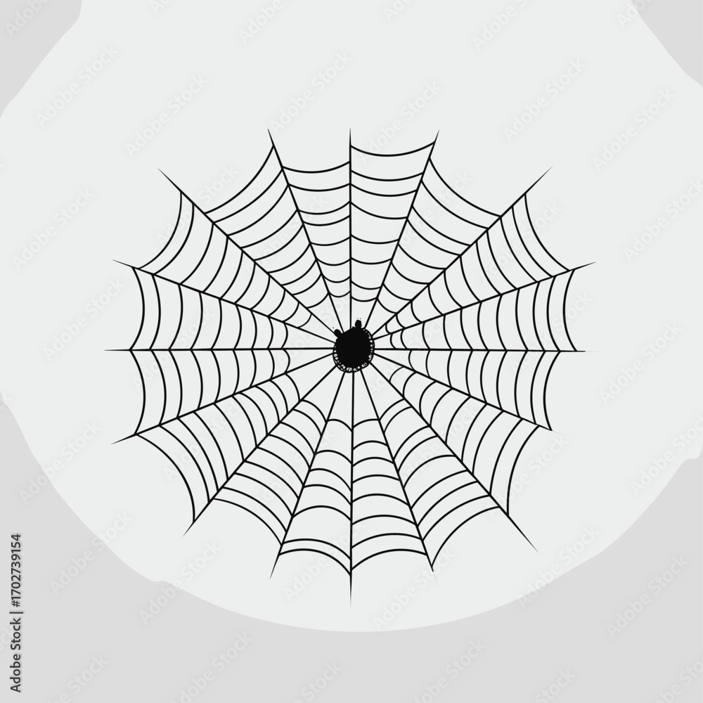 Fototapeta premium Detailed spider web design isolated silhouette natural element for halloween and insect themes silhouette