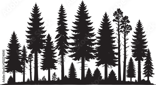 Dense pine tree silhouette, evergreen forest vector, black fir woodland shape, winter nature background, outdoor conifer tree clipart, landscape illustration