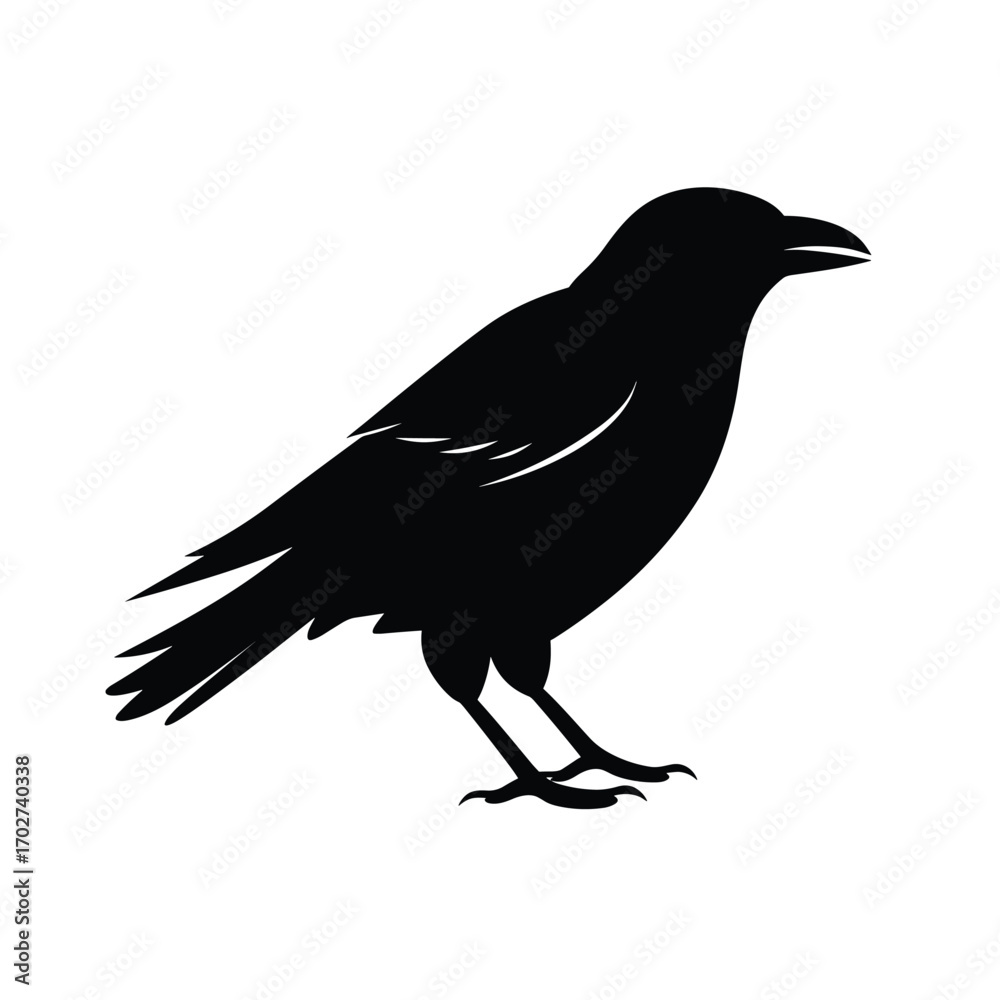 Fototapeta premium Silhouette of a crow standing with detailed feathers and open beak silhouette