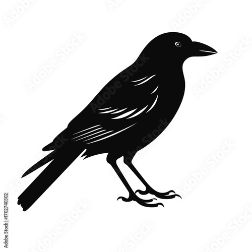 Silhouetted crow perched alertly awaiting potential prey or gathering information silhouette