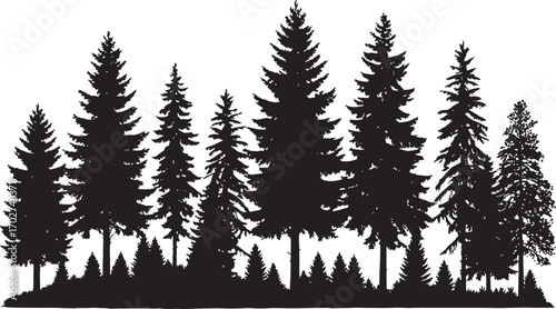 Dense pine tree silhouette, evergreen forest vector, black fir woodland shape, winter nature background, outdoor conifer tree clipart, landscape illustration