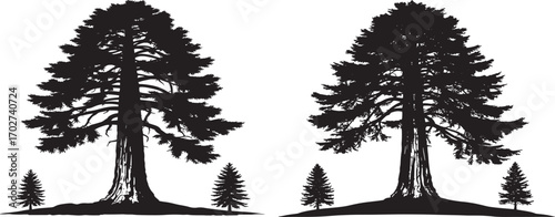 Tall Pine Tree Silhouette | Forest Scene with Conifer Trees | Nature Background Vector | Black and White Tree Outline | Mountain Landscape Symbol