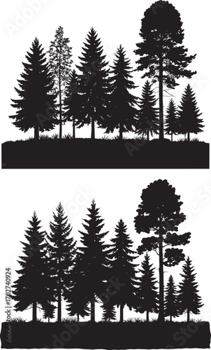 A dense silhouette of evergreen trees creates a natural forest landscape seamlessly
