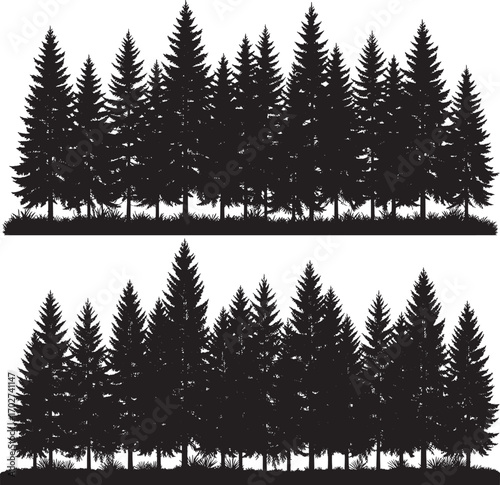 A dense silhouette of evergreen trees creates a natural forest landscape seamlessly