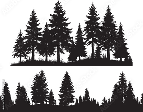 A dense silhouette of evergreen trees creates a natural forest landscape seamlessly