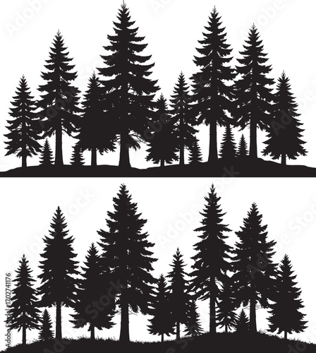 A dense silhouette of evergreen trees creates a natural forest landscape seamlessly