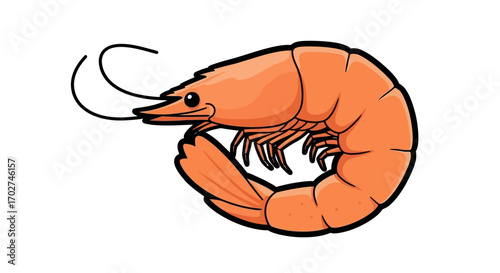 Cartoon illustration of an orange shrimp with a curved body, long antennae, and detailed legs, isolated on a white background.