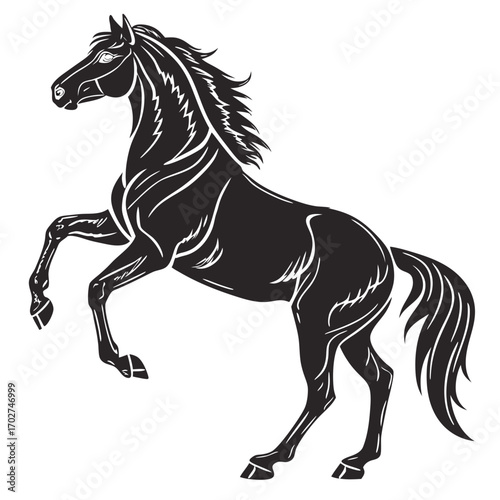 black horse vector illustration