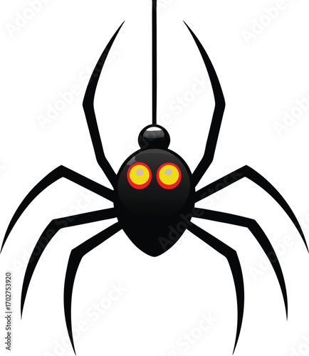 black spider isolated on white background