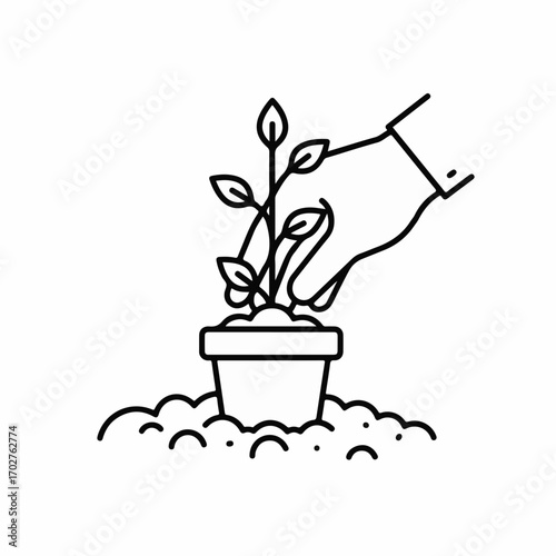 Gentle hand plants a seedling in a pot, symbolizing growth and new beginnings.