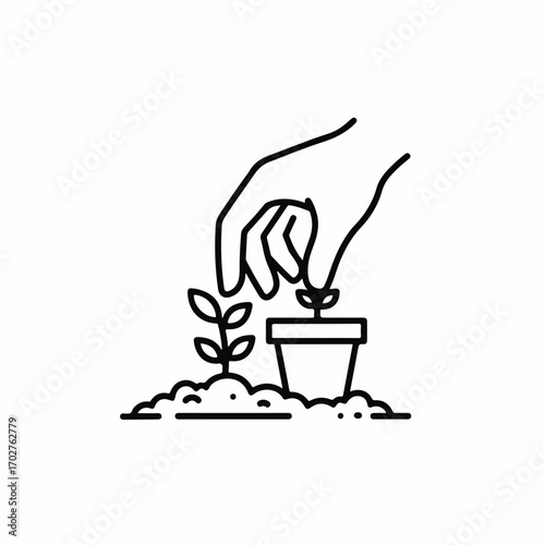 Gentle hand planting a seedling in soil, symbolizing growth and new beginnings.